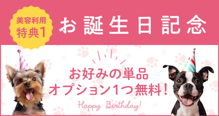 美容利用特典1 お誕生日記念 お好みの単品オプション1つ無料!